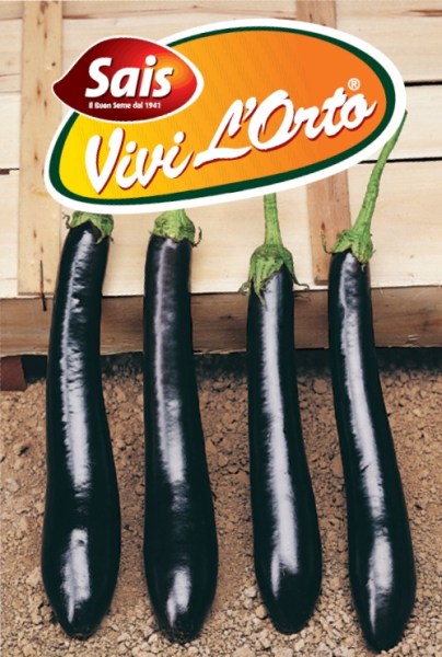 baklazan romagna 3.jpg